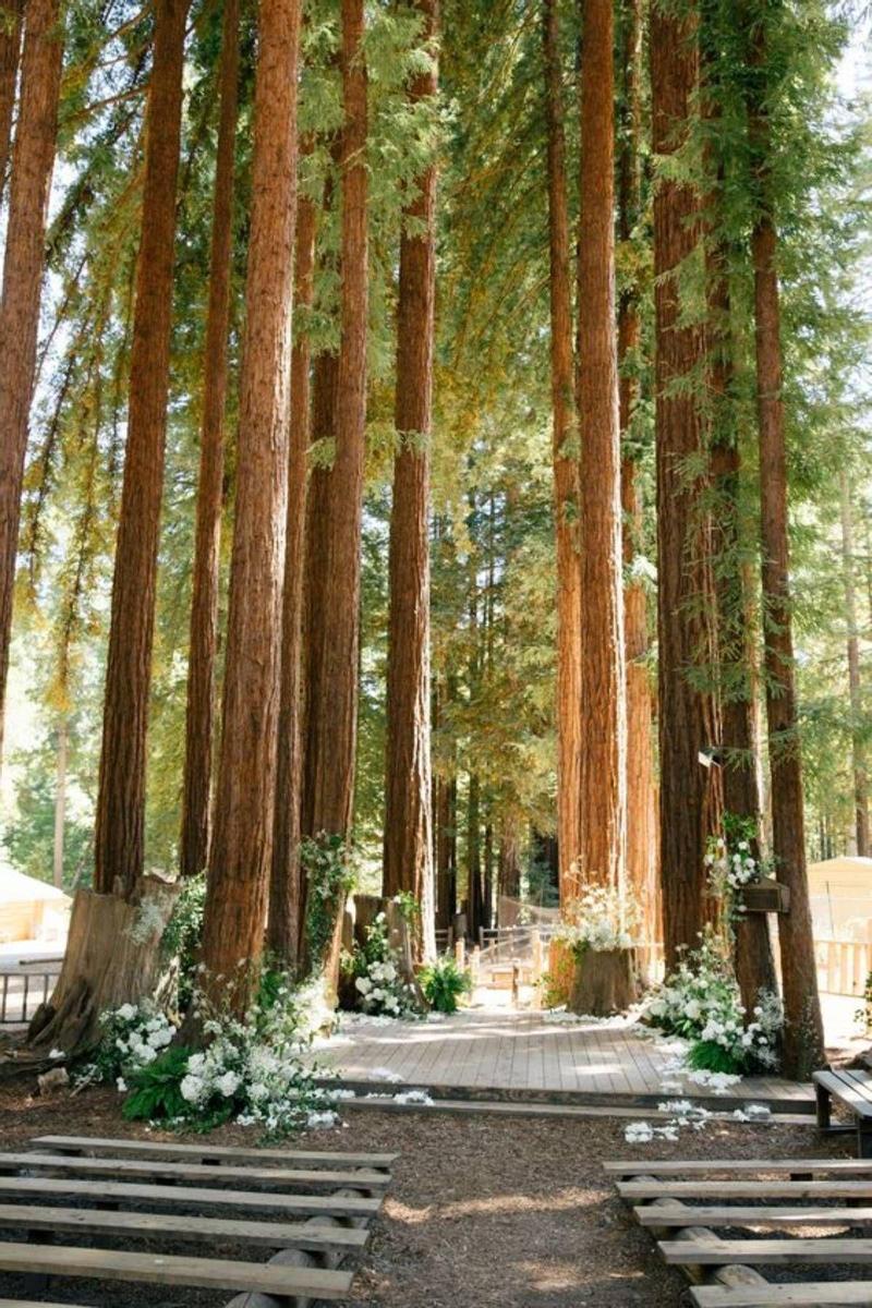 Espacio decorado para celebrar una boda de cuento en el bosque