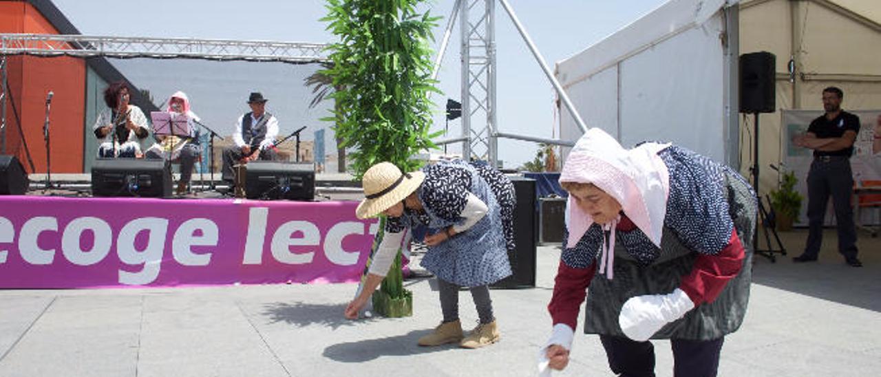 Una recreación del baile del trigo en &#039;Sembrando cereales&#039;, en la nueva plaza del Palacio de Congresos.