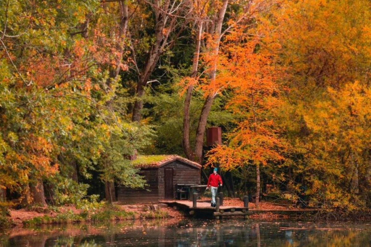 Bosque Finlandés, en Rascafría