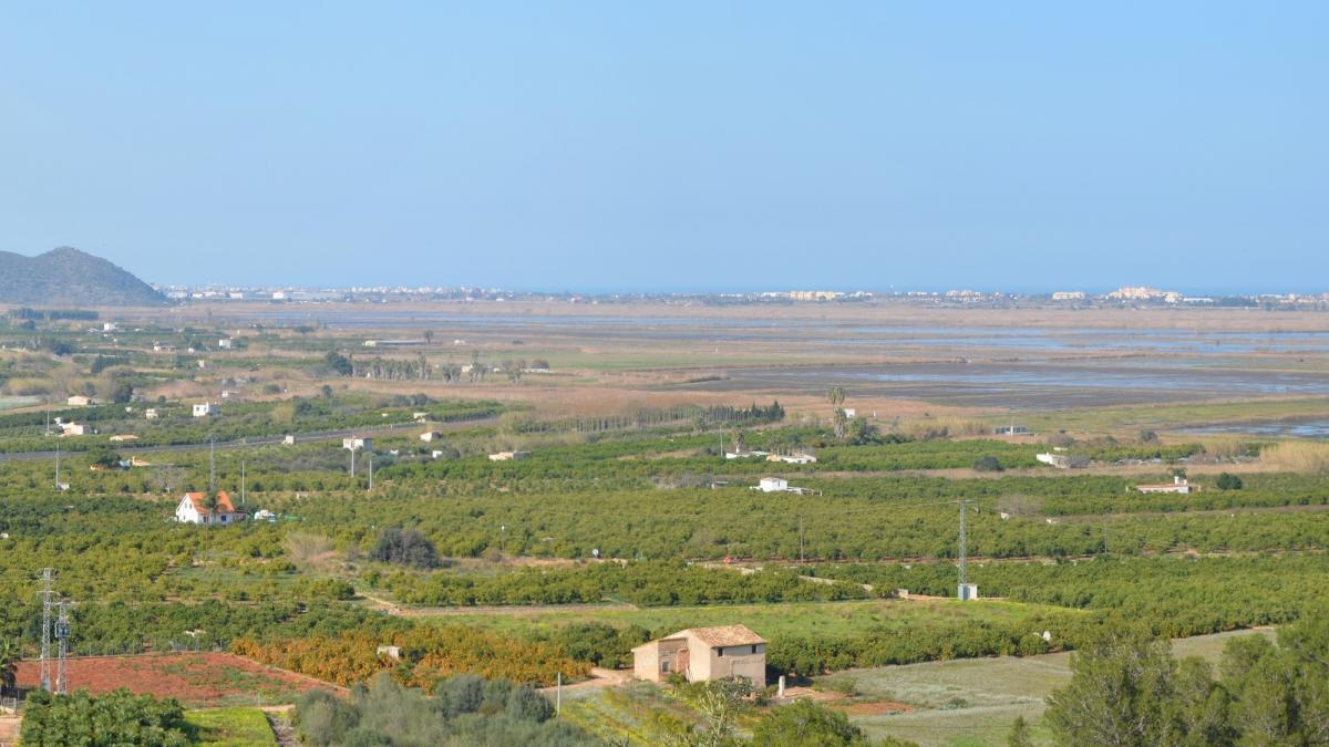 Imagen de la zona natural protegida del marjal de Pego-Oliva.