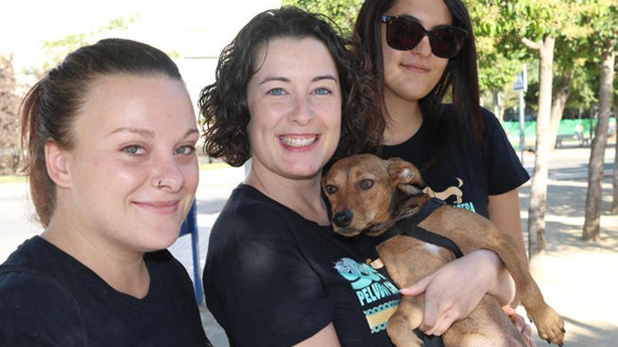 Elizabeth Guzmán, Maite Ponce y Elisa Palacios posan con la perrita Sisi que espera a ser adoptada.