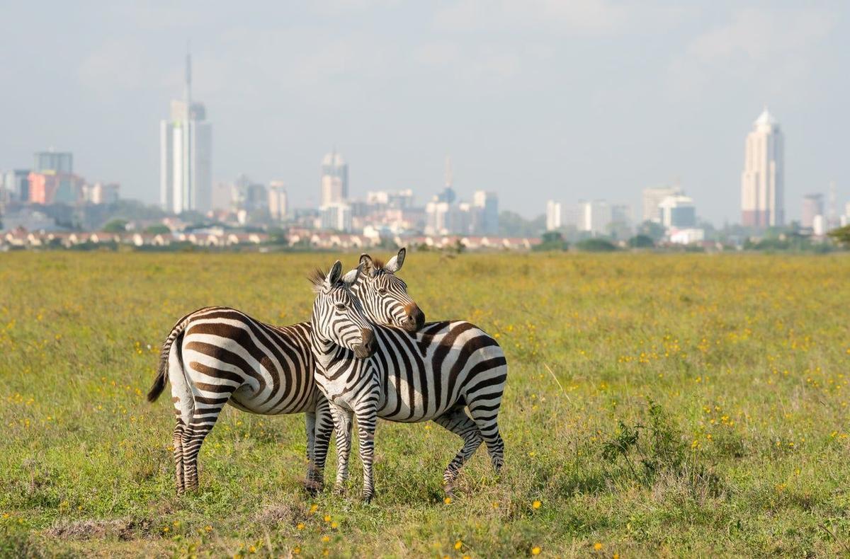 Parque Nacional de Nairobi