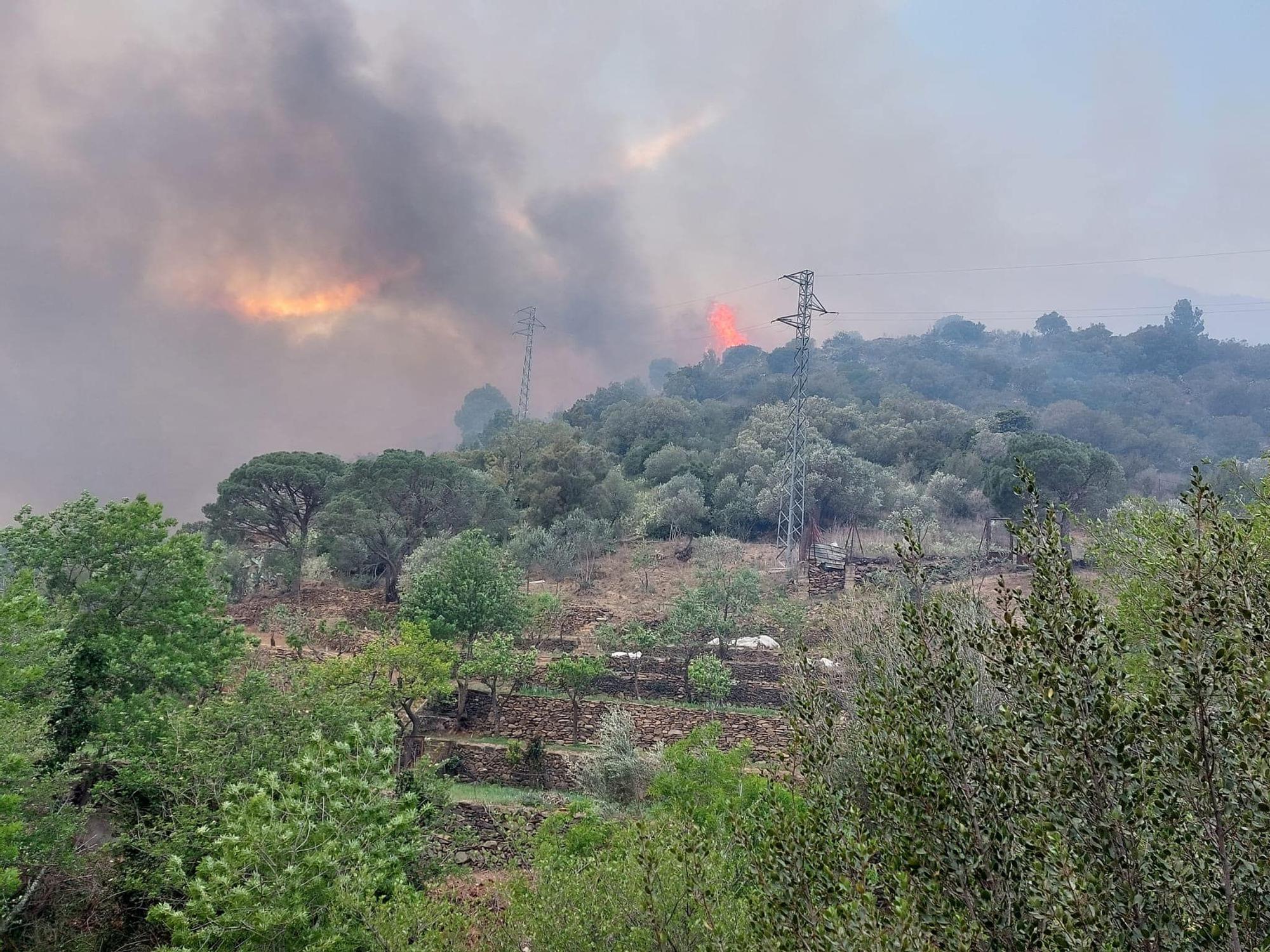 L'incendi que ha cremat a Portbou els dies 16 i 17 d'abril