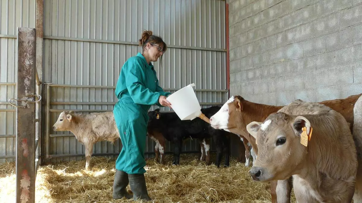 Tan solo el 16% de las explotaciones agrarias de Aragón tiene a una mujer al frente