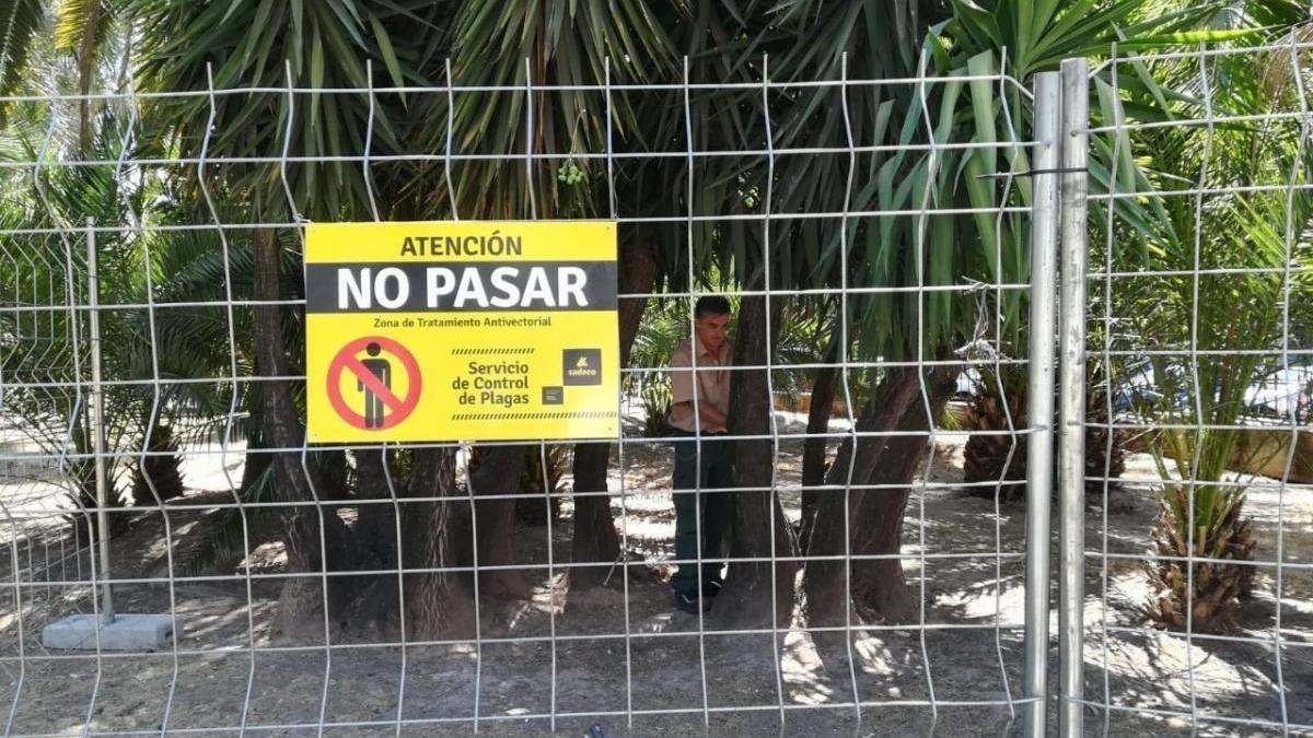 Sadeco inicia el tratamiento para erradicar las ratas de los Jardines de Colón