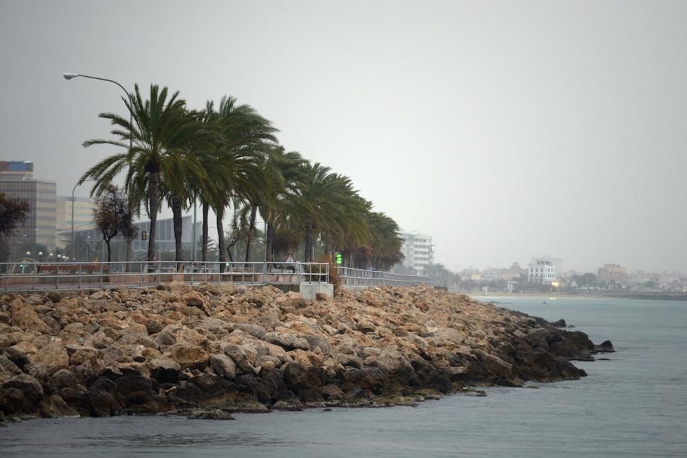 La tormenta llega a Mallorca