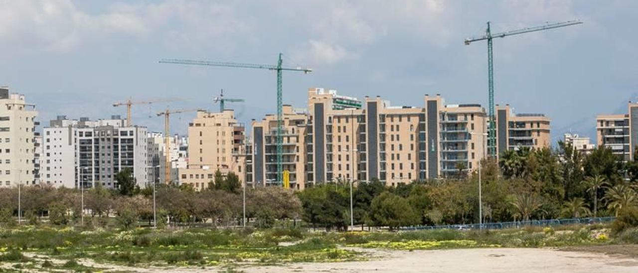 La Playa de San Juan, una de las zonas con mayor actividad inmobiliaria de la provincia en estos momentos. héctor fuentes