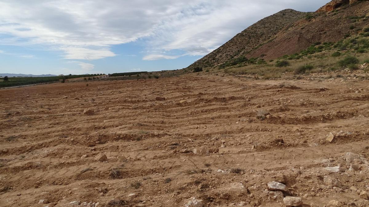 Zona roturada en el Cabezo Gordo de Torre Pacheco