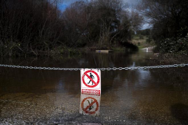 El Guadiloba asoma fuera de su pantano de Cáceres