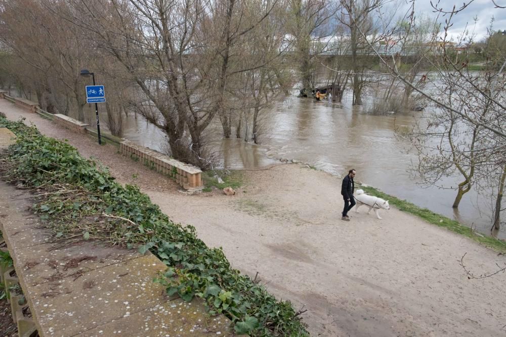 Crecida del río Duero