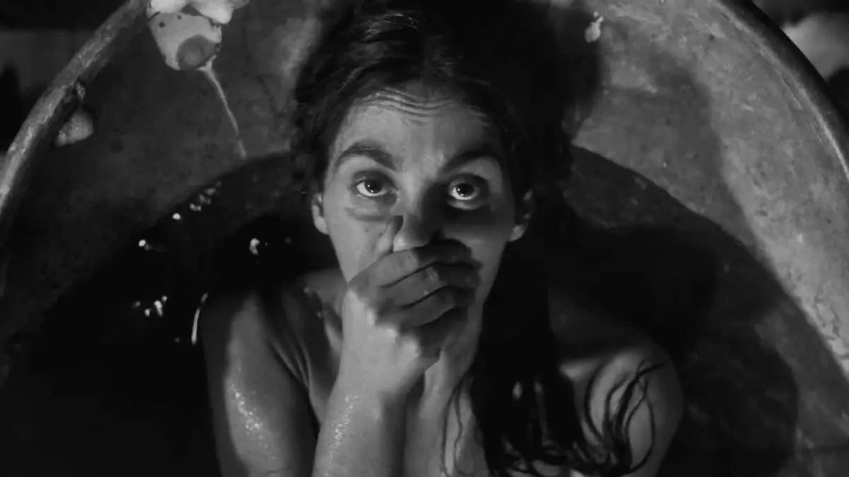 Cine bajo las estrellas: estas son las películas que puedes ver esta semana en el patio de la Diputación