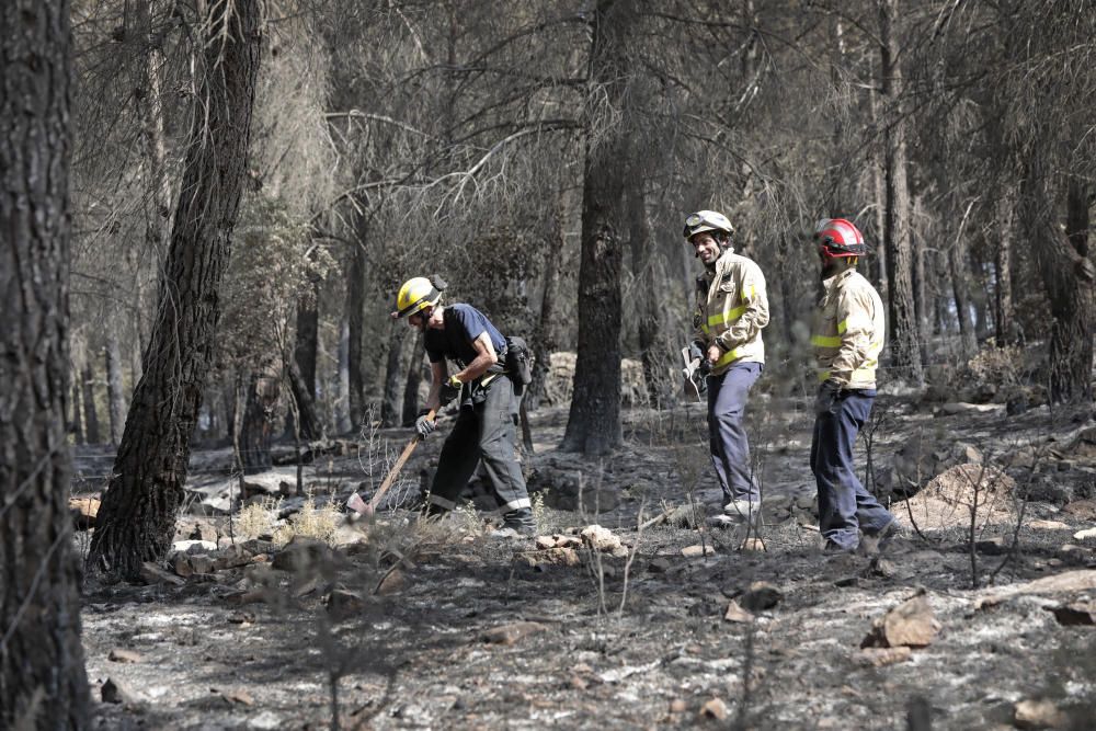 Incendi a Artés