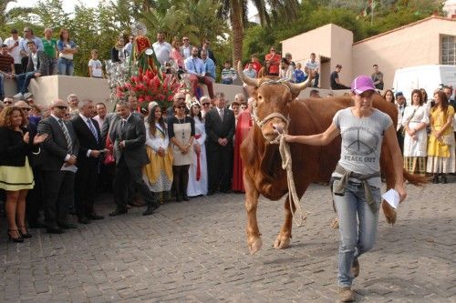 Fiesta de Santa Lucia