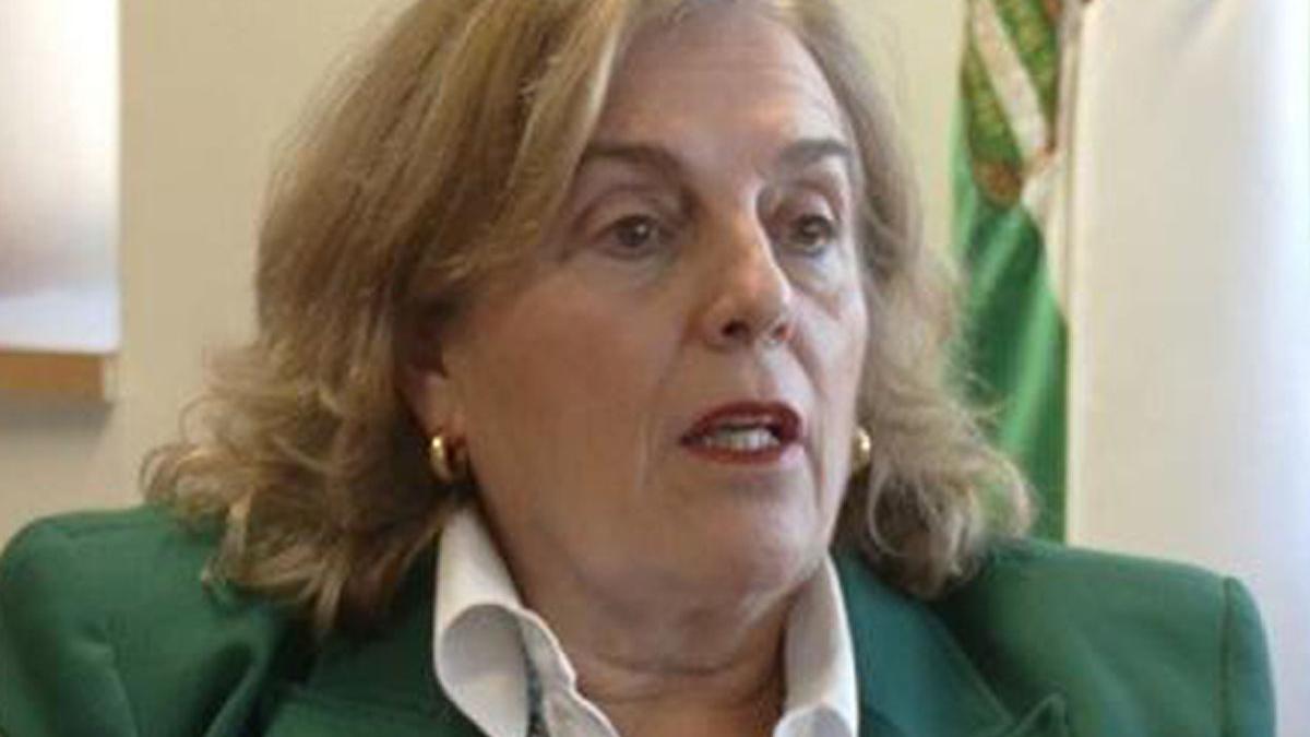 La presidenta de la Audiencia de Málaga, Lourdes García, considera que sigue siendo necesaria la ampliación prevista de la Ciudad de la Justicia