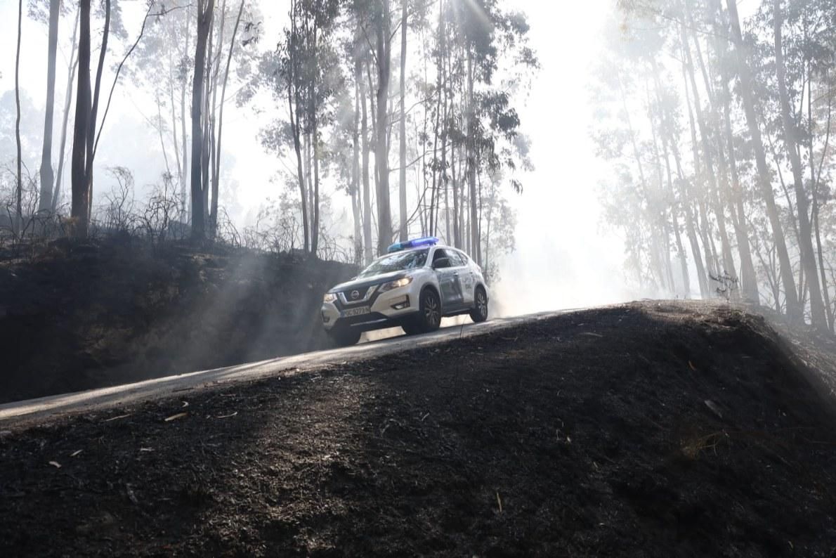 Espectacular incendio forestal en Meaño