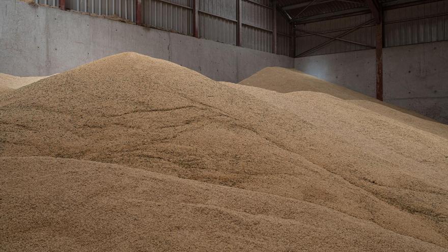 La Alianza denuncia: el precio del cereal &quot;arruina&quot; a los agricultores