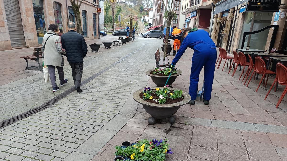 Un operario en tareas de jardinería.