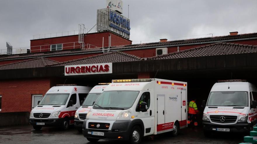 Un hombre de 79 años resulta herido tras caer a una riega de unos 14 metros en Bierces (Piloña)
