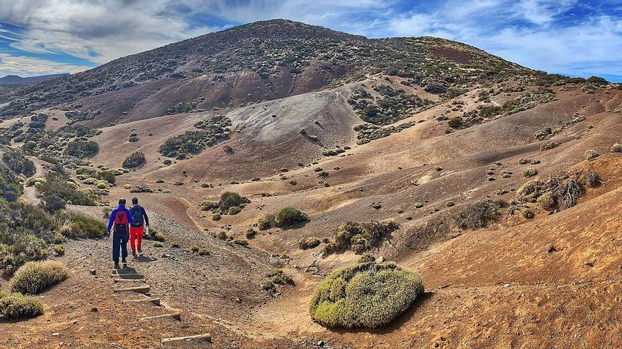 The best trails in Tenerife according to the AI