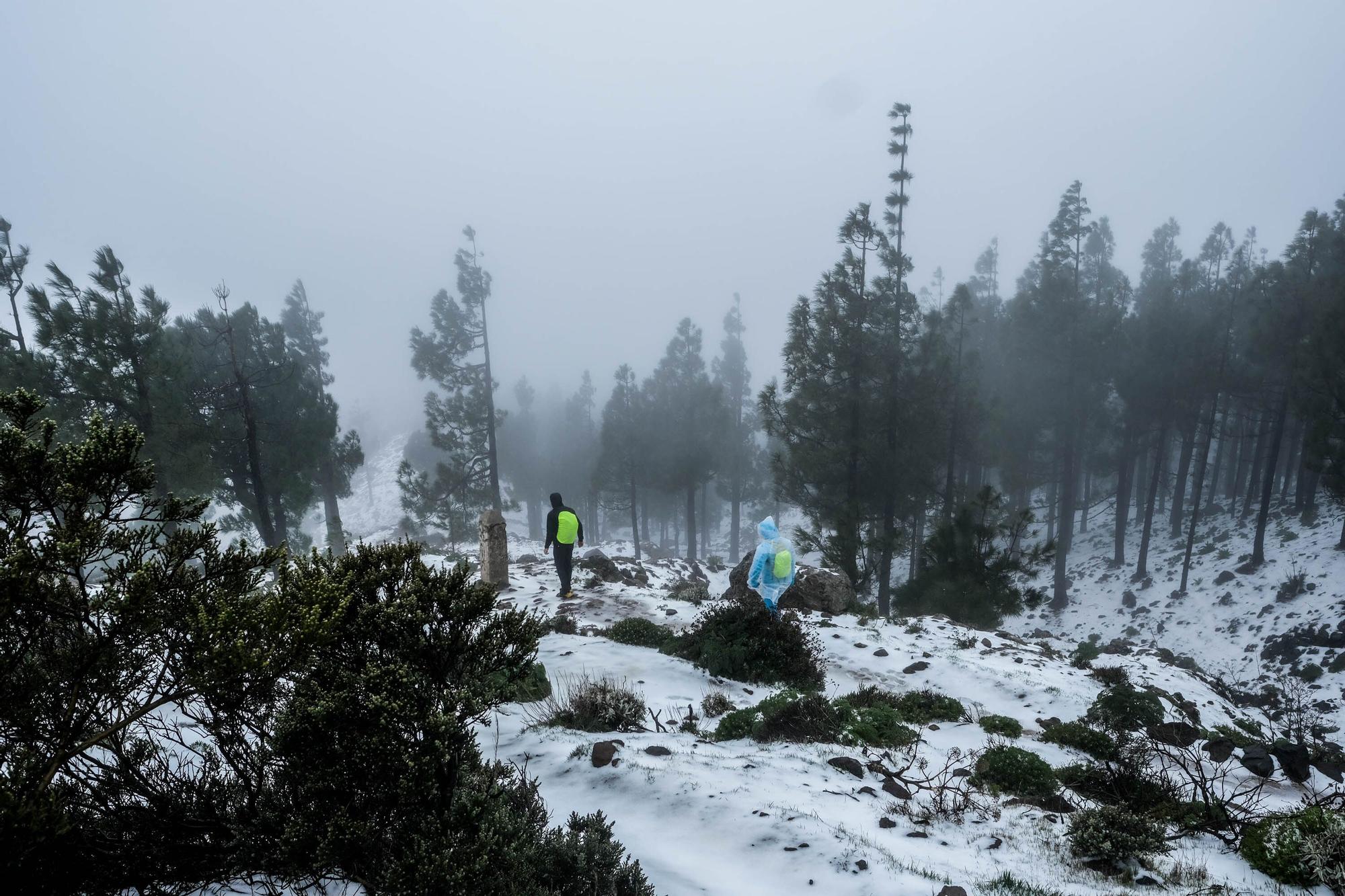 Nieve en la cumbre de Gran Canaria (15/03/2022)