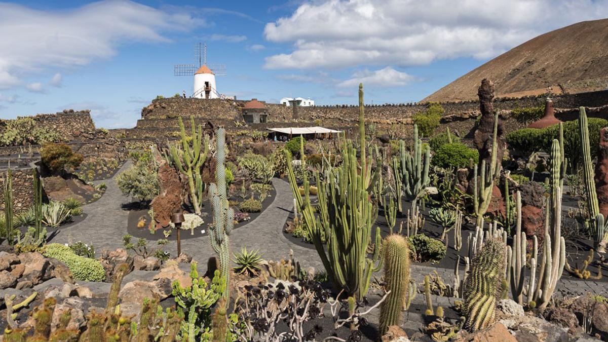 El Jardín de los Cactus, en Teguise.