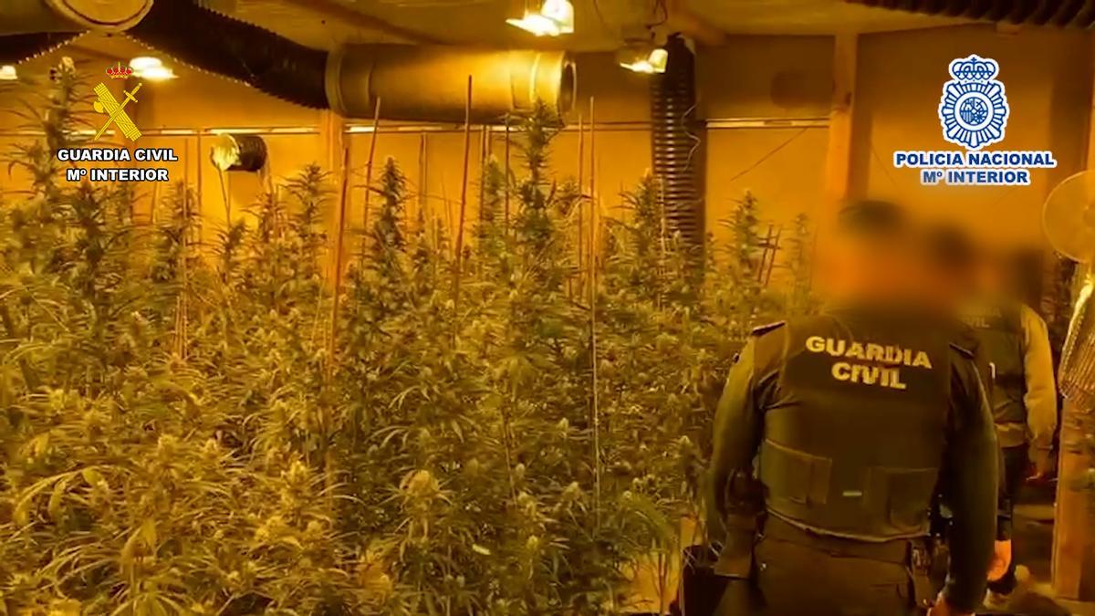 Dos naves industriales servían para cultivar la marihuana en Alicante y Elche