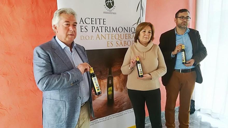 La producción de aceite de DO de Antequera se reducirá este año a la mitad