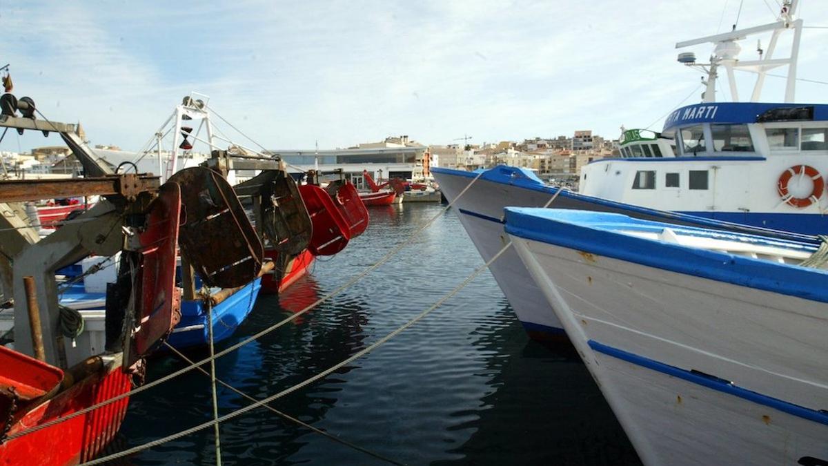 Barcas de pesca en el puerto de Palamós