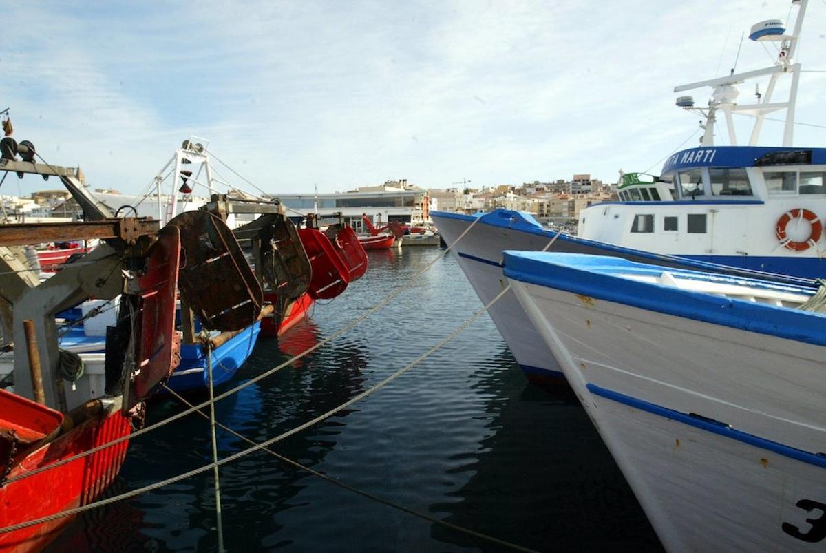 PALAMOS -  BARCAS DE PESCA EN EL PUERTO . FOTO JOAN CASTRO