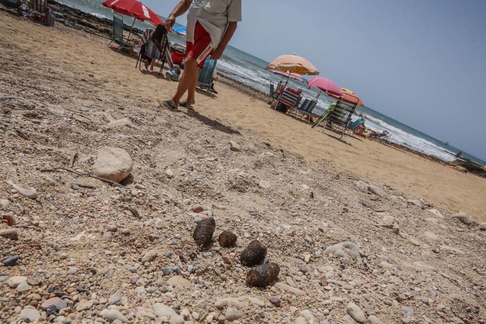 Vecinos de Punta Margalla en Torrevieja, en contra