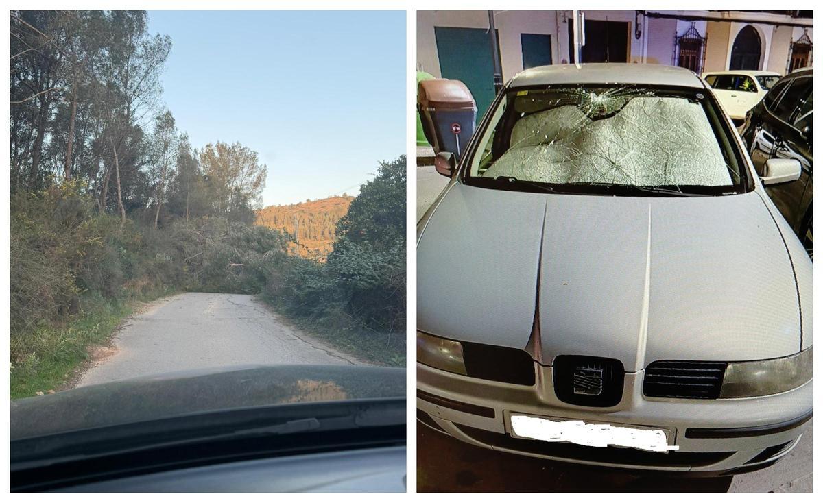 A la izquierda, un pino de grandes dimensiones impide el paso por un camino en Bixquert. A la derecha, daño registrado en un coche aparcado en la vía pública.