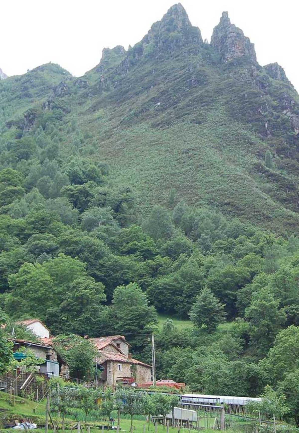 Los Picos de Europa crecen