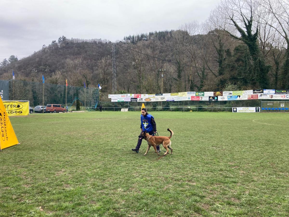 Gélida mañana de campeonato de adiestramiento canino en Cornellana