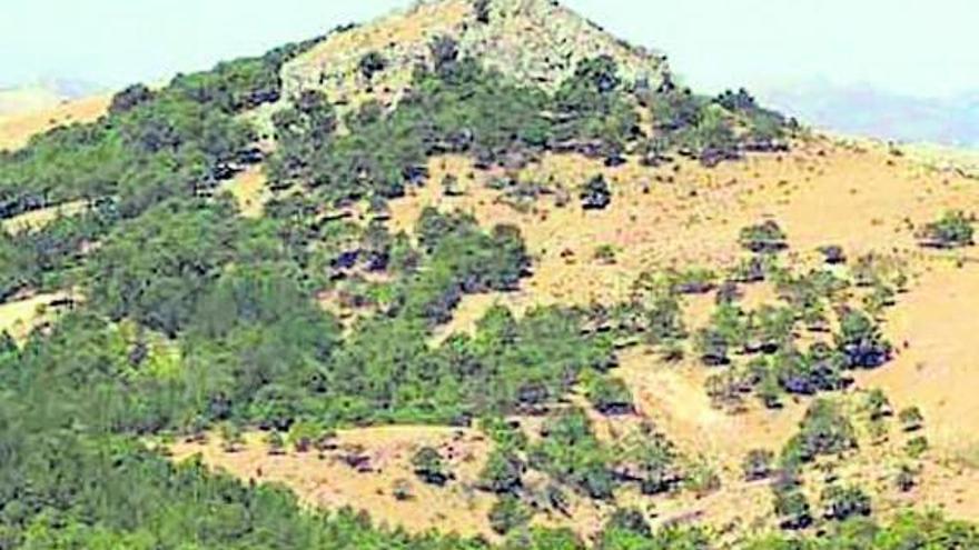 Parc Natural Sierra de
las Nieves (Màlaga).