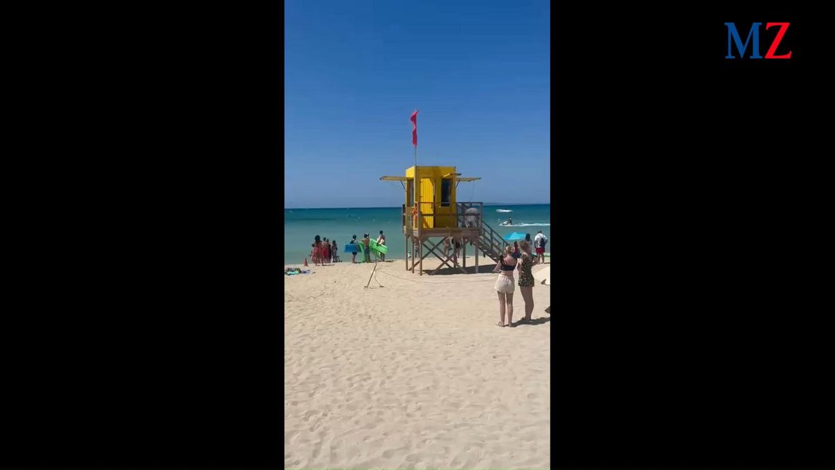 "Swimming is forbidden for Shark Attack": Hai-Alarm an der Playa de Palma