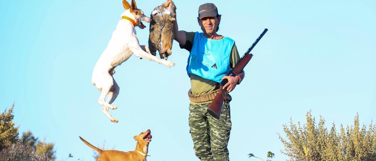 Un cazador con sus perros tras dar caza a dos conejos en una zona de viñedos del Medio Vinalopó.