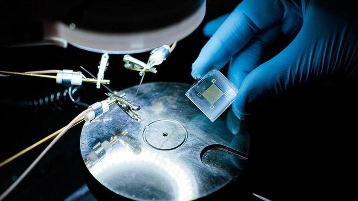 Un nuevo parche informático con apariencia de piel puede analizar datos de salud mediante inteligencia artificial de una forma sin precedentes.
