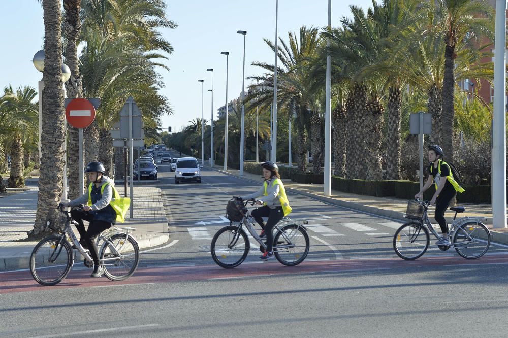 El carril bici en la avenida de la universidad