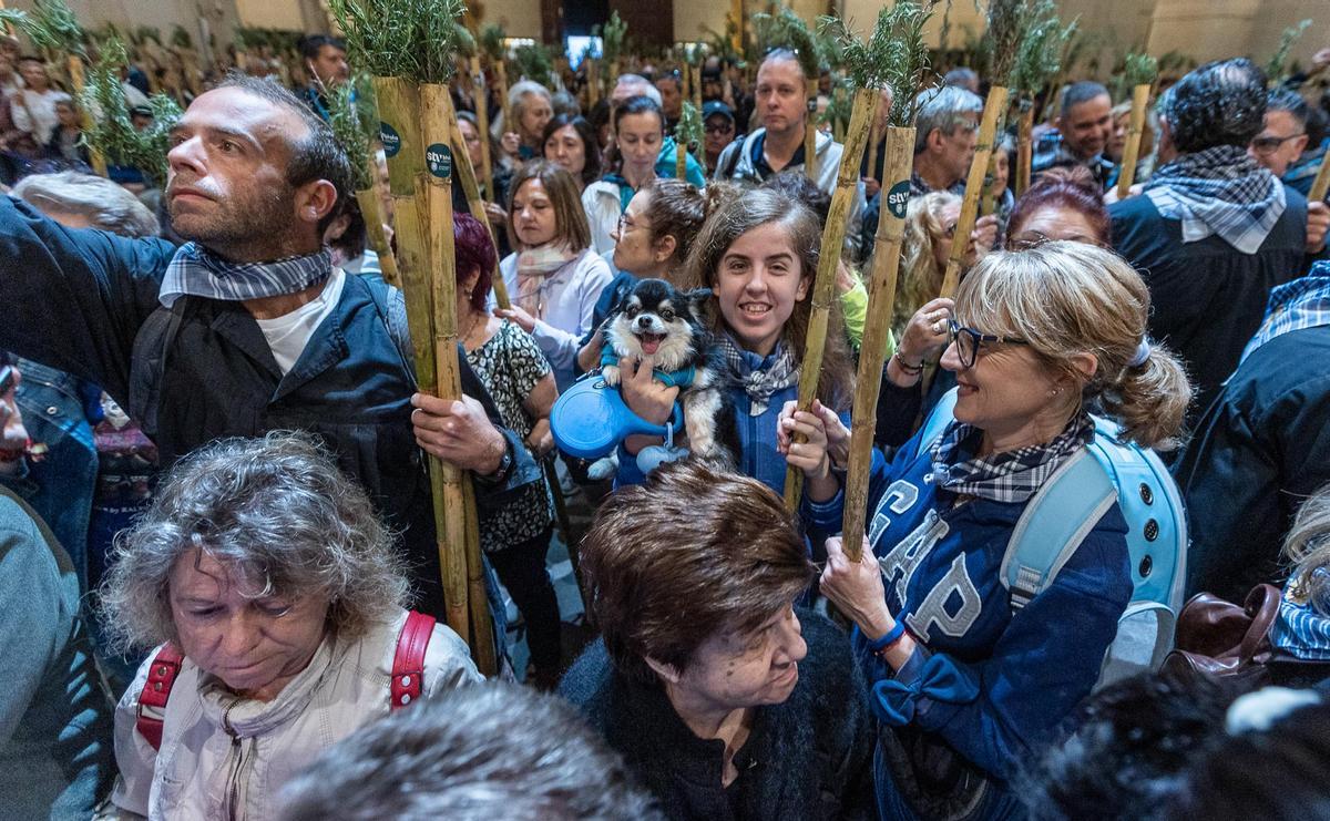 La romería a la Santa Faz marca el pulso de la ciudad de Alicante
