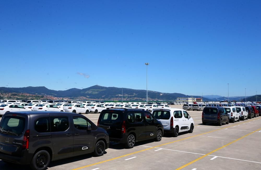 Los vehículos, en la terminal de Bouzas // Marta G. Brea