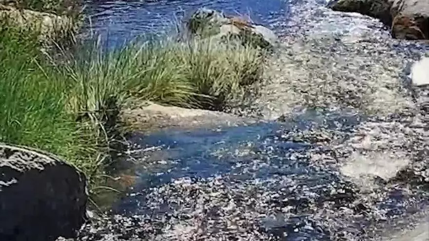 VÍDEO | La “Ribera de Brandilanes”: un remanso de paz y biodiversidad en “La Raya” con Portugal