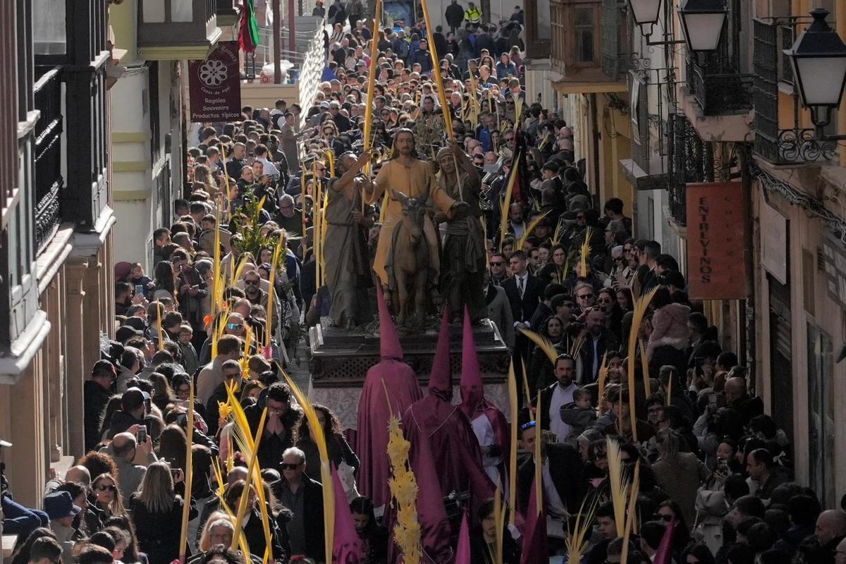 La Procesión de La Borriquita en Zamora, en imágenes La Procesión de La Borriquita en Zamora, en imágenes
