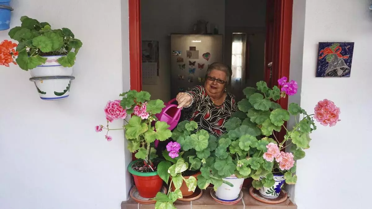 Los Corralones de la Trinidad y El Perchel: el alma florida de Málaga