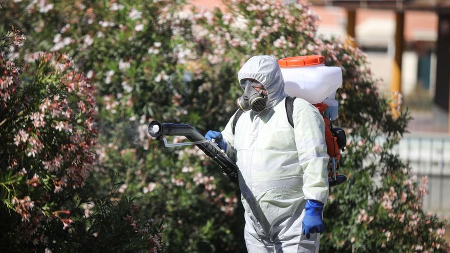 La Junta de Andalucía busca ya posibles casos de fiebre del Nilo: se hará PCR a las personas que presenten síntomas