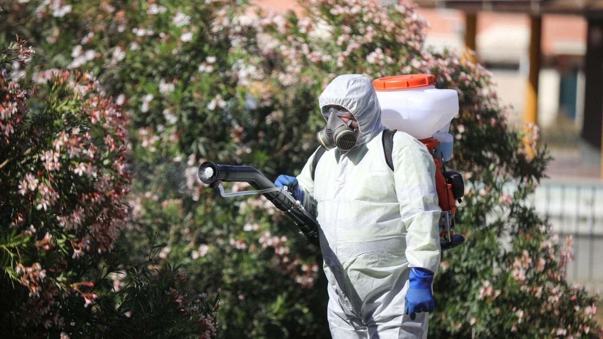 Un operario inicia las labores de fumigación y el tratamiento de imbornales contra el mosquito en una imagen de archivo.