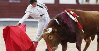 Unidas Podemos pide vetar la entrada de los menores a las corridas de toros