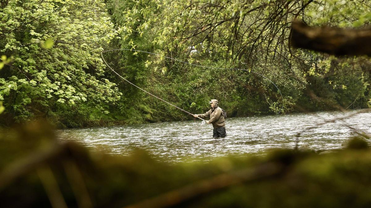EN IMÁGENES: Más de 4.000 pescadores salen a los ríos asturianos en busca del campanu, el primer salmón de la temporada