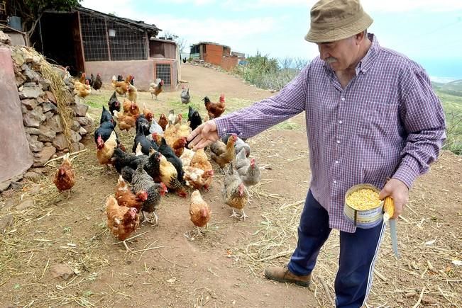 Pepe Guedes, agricultor orgánico