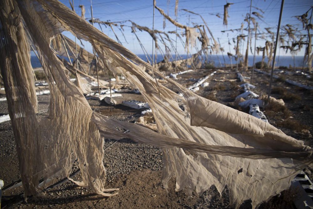 Fotos de invernaderos abandonados en el Sur de ...