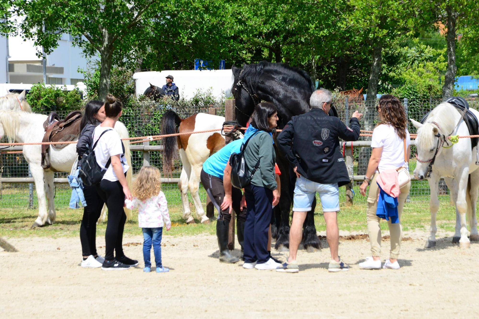 Más de 200 jinetes en la Xuntaza Cabalar de Moaña